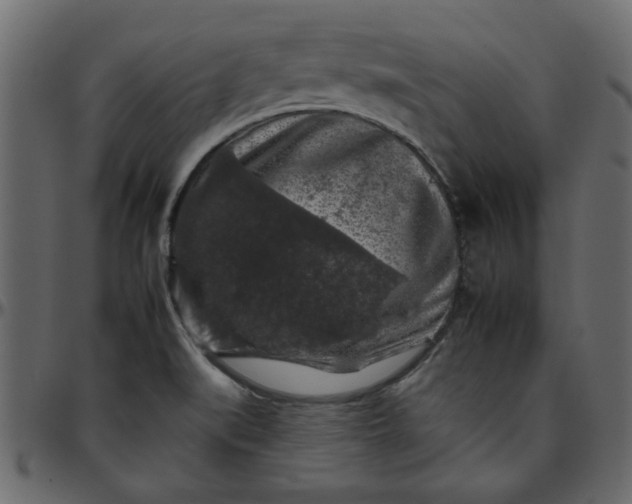 X0000095671519200801221152