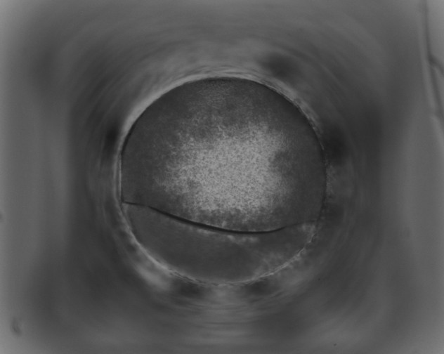 X0000095671520200801221152