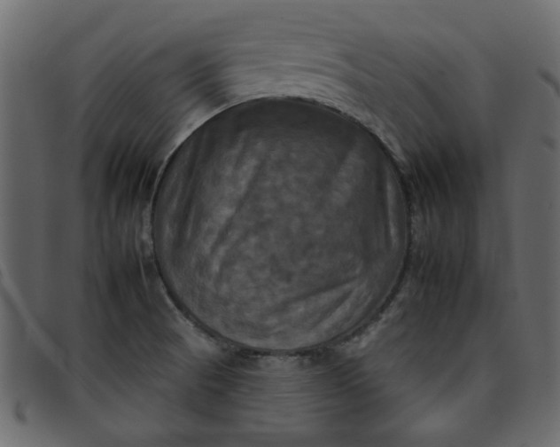 X0000095671521200801221152