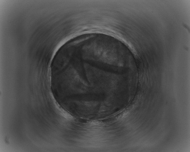 X0000095671522200801221152