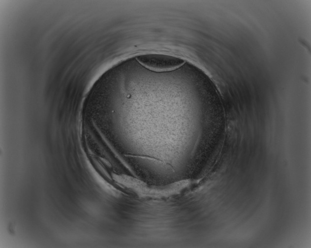 X0000095671523200801221152