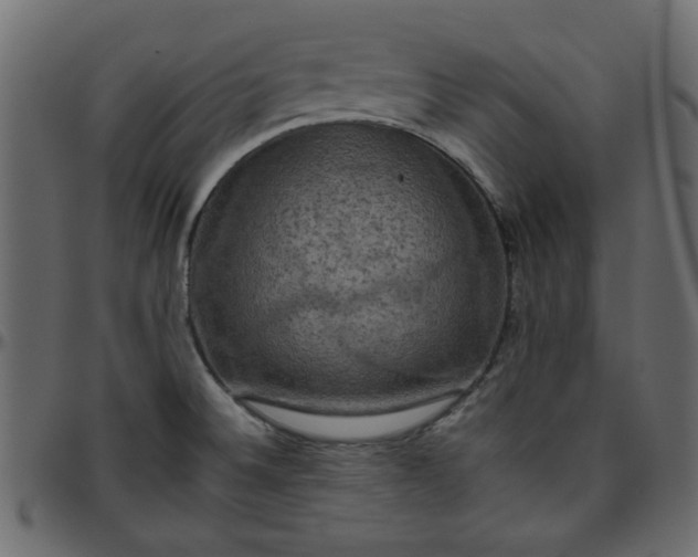 X0000095671524200801221153