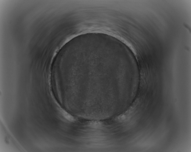 X0000095671525200801221153