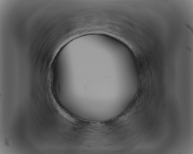 X0000095671526200801221153