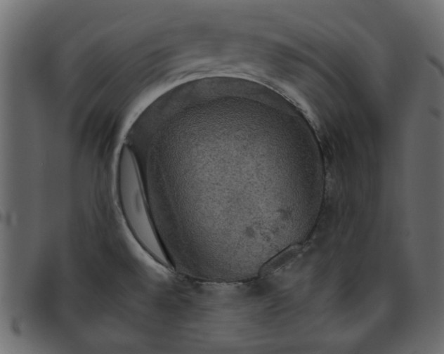 X0000095671528200801221153