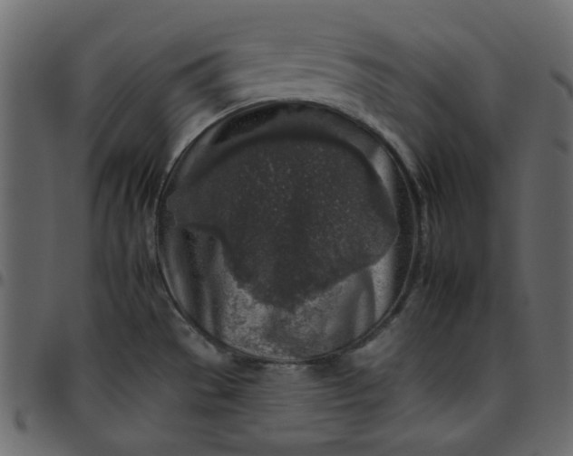 X0000095671529200801221153