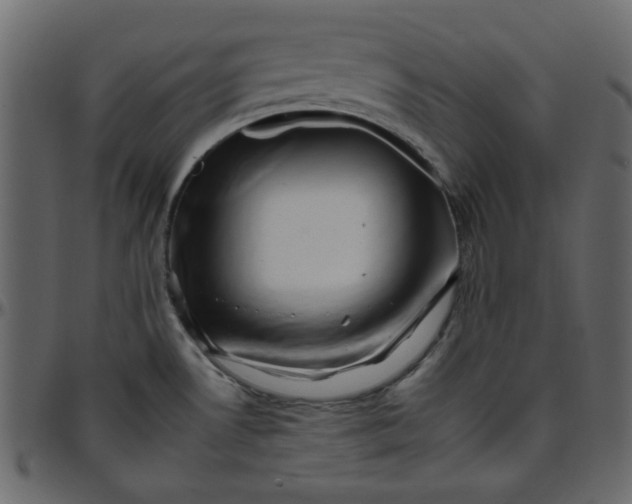 X0000095671530200801221153