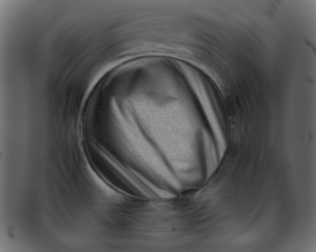 X0000095671531200801221153