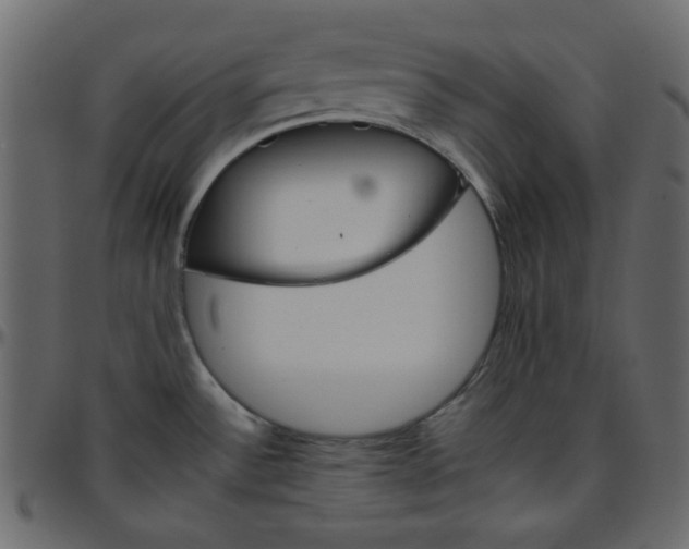 X0000095671532200801221153