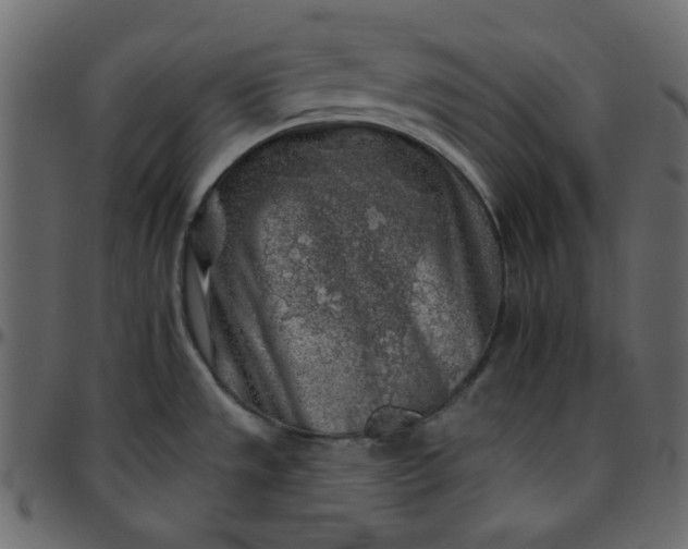 X0000095671533200801221153