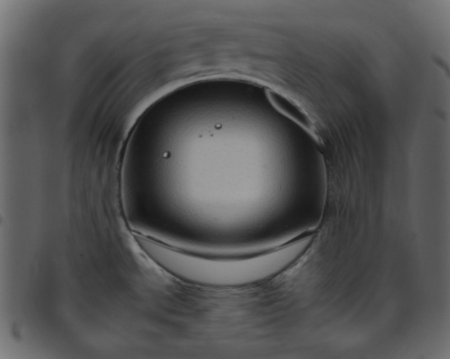 X0000095671534200801221153