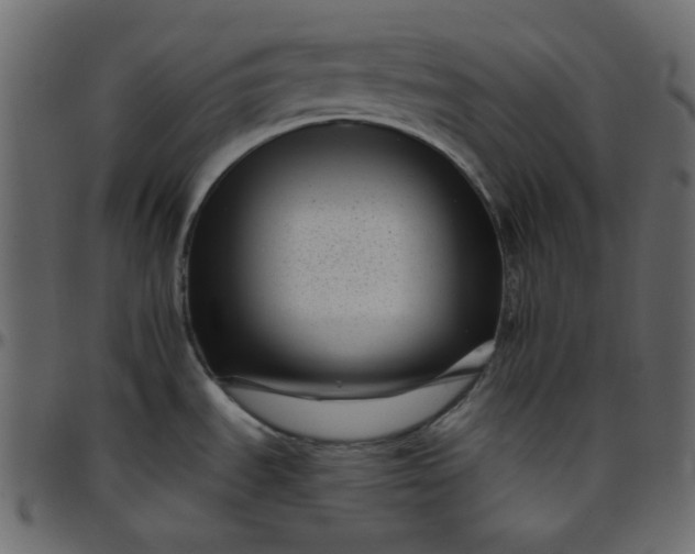 X0000095671535200801221153