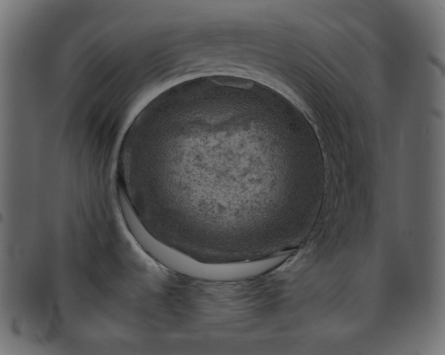 X0000095671536200801221153