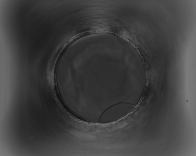 X0000095670002200801291146