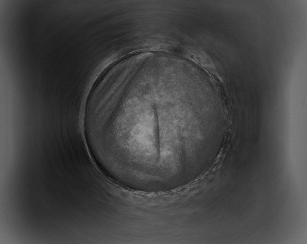 X0000095670003200801291146