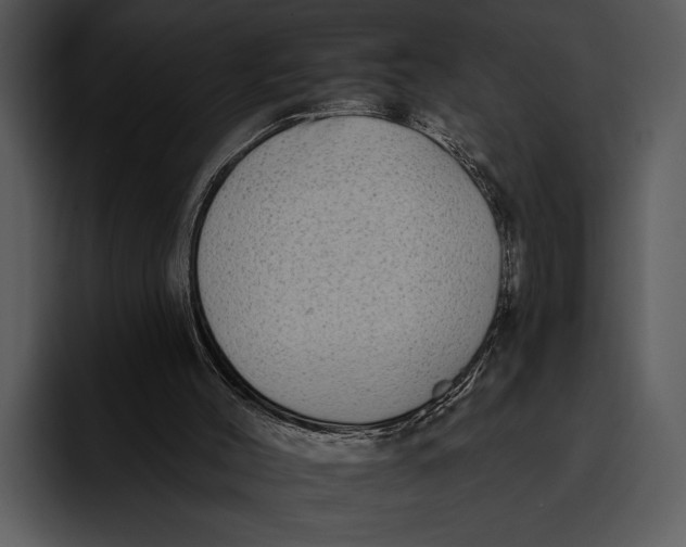 X0000095670004200801291146