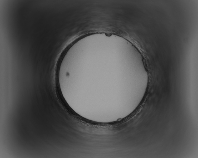 X0000095670008200801291146