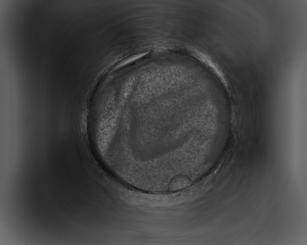 X0000095670010200801291146