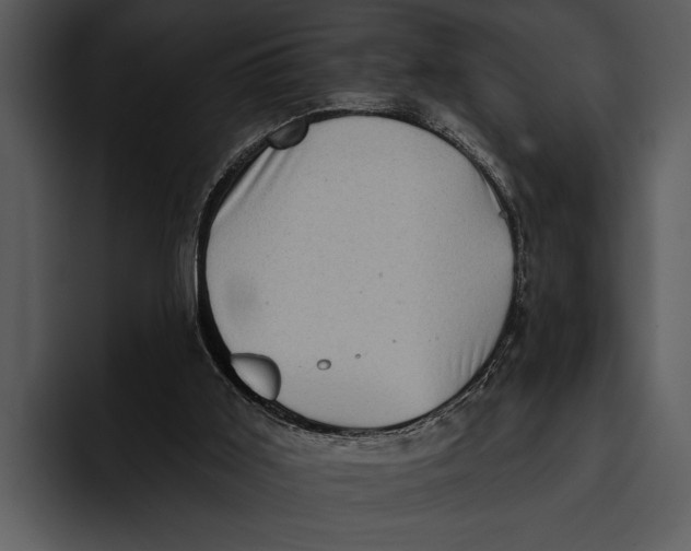 X0000095670011200801291146