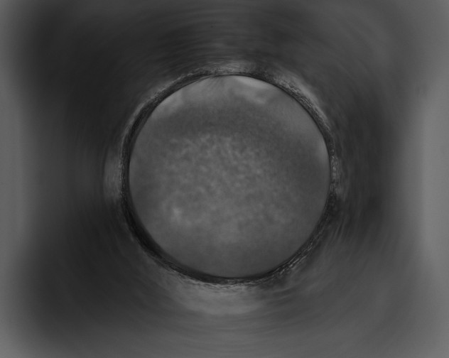 X0000095670012200801291146