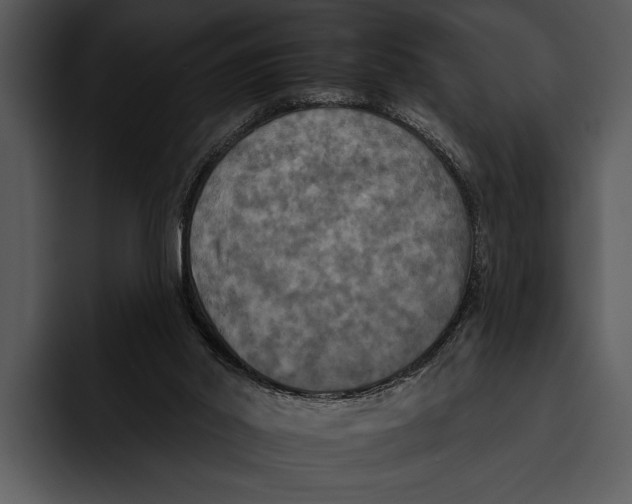 X0000095670014200801291146