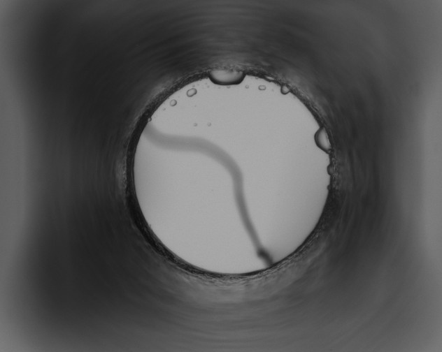 X0000095670015200801291146