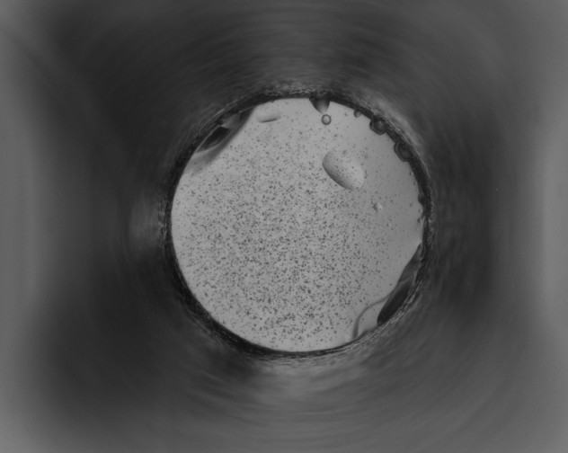 X0000095670017200801291146