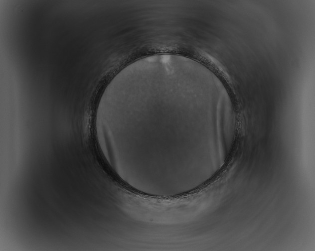 X0000095670018200801291146