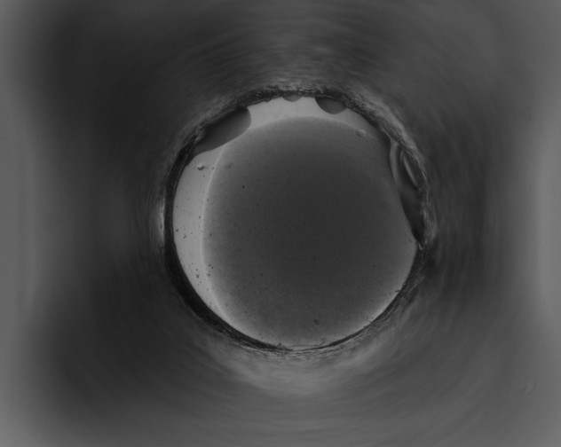 X0000095670019200801291146