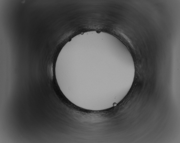 X0000095670020200801291146