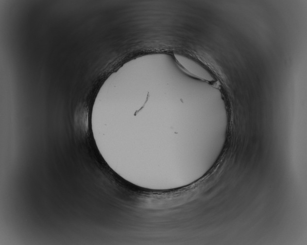 X0000095670021200801291146