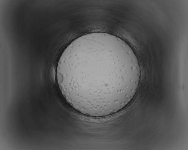 X0000095670022200801291146