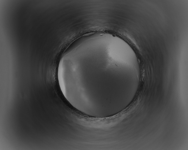 X0000095670023200801291146