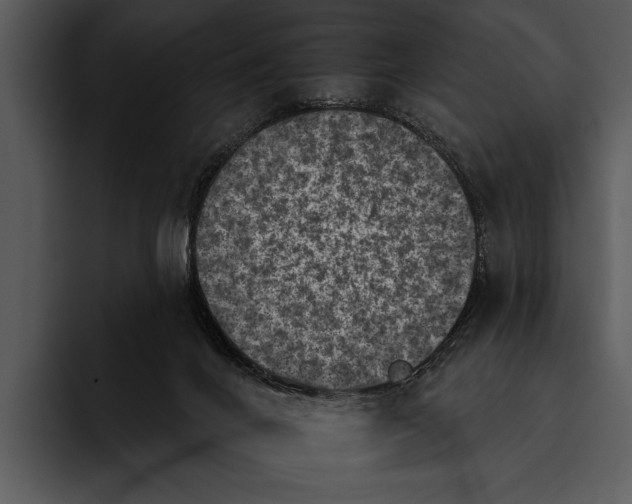 X0000095670024200801291146