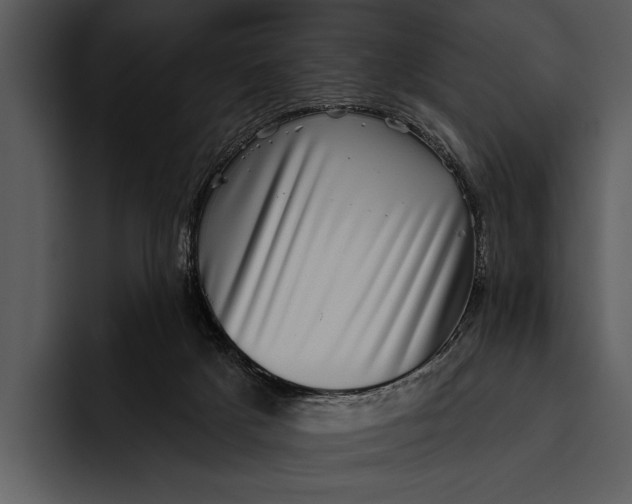 X0000095670025200801291146