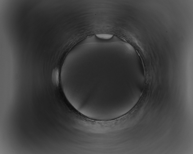 X0000095670027200801291146