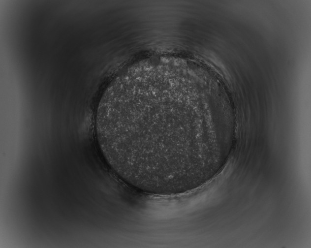 X0000095670029200801291146