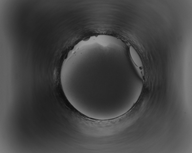 X0000095670031200801291146