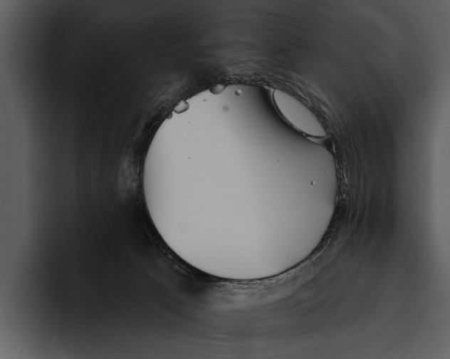 X0000095670033200801291146