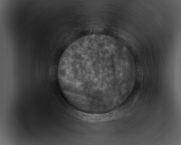 X0000095670034200801291146