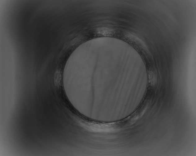 X0000095670036200801291146