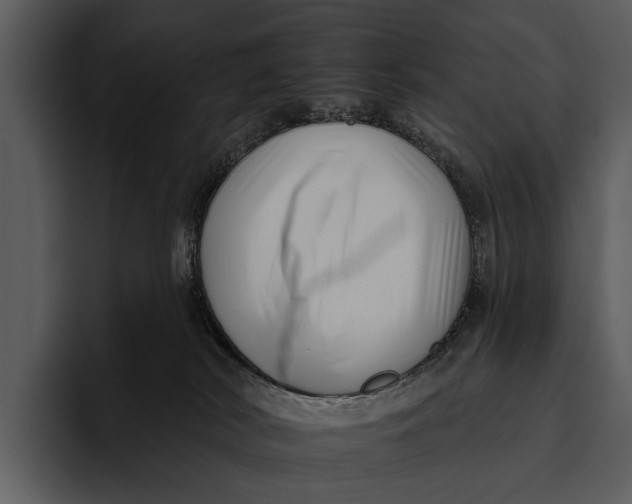 X0000095670038200801291146