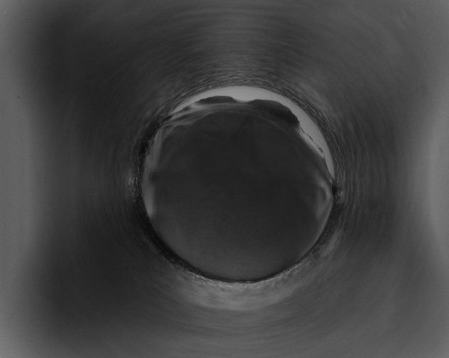 X0000095670039200801291146