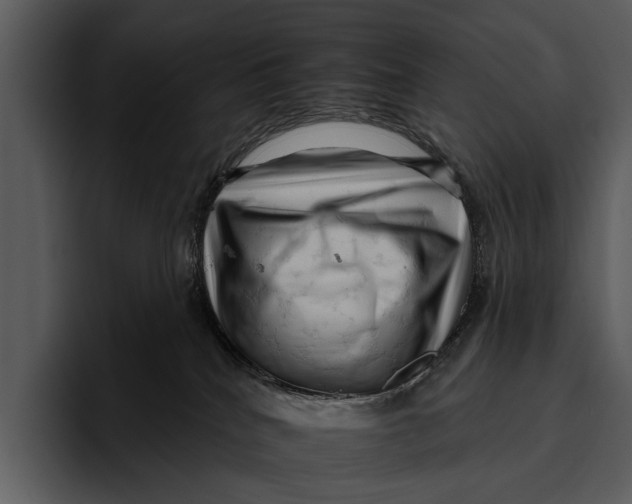 X0000095670040200801291146