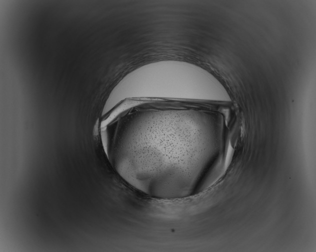 X0000095670041200801291146