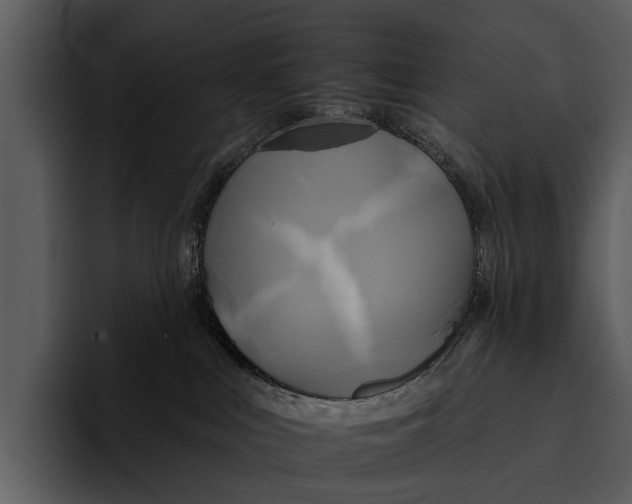 X0000095670043200801291145