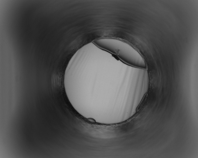 X0000095670044200801291145