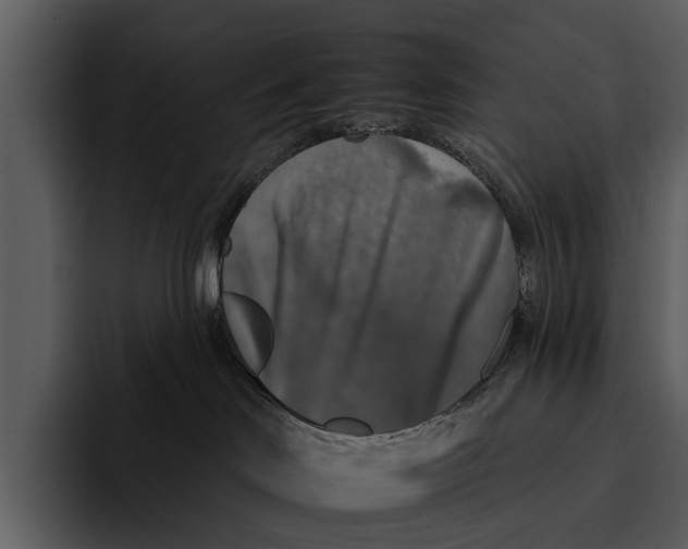 X0000095670046200801291145