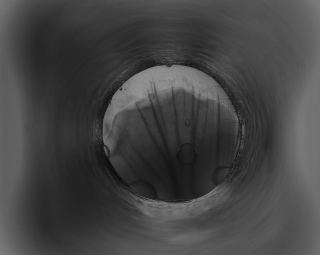 X0000095670048200801291145