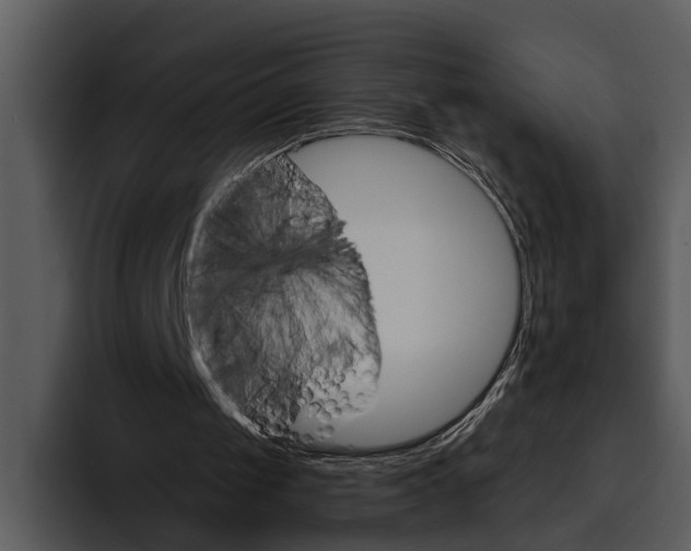 X0000095670049200801291145